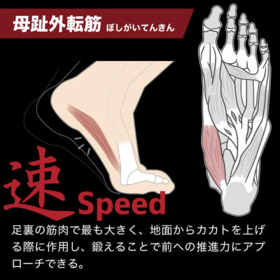 アクティバイタル 足袋型ソックス Activital PRO│アメフト用品専門店