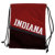 ���S�u�����Y NCAA �e�B���g �o�b�N�T�b�N �C���f�B�A�i�B����w