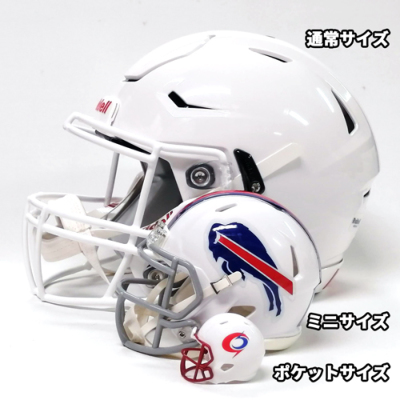 リデル NFL ポケットサイズヘルメット カージナルス│アメフト用品専門 