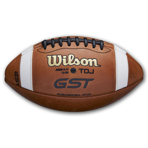 【革ボール】ウィルソン GST ジュニア WTF1321B アメフト用品 